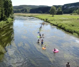 KAYAK