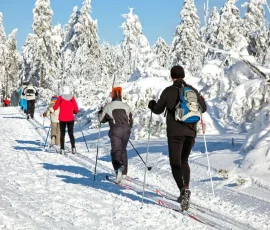 SKI DE FOND